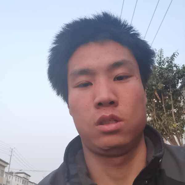 河南25岁单身帅哥真诚找对象-乌兰察布征婚相亲网