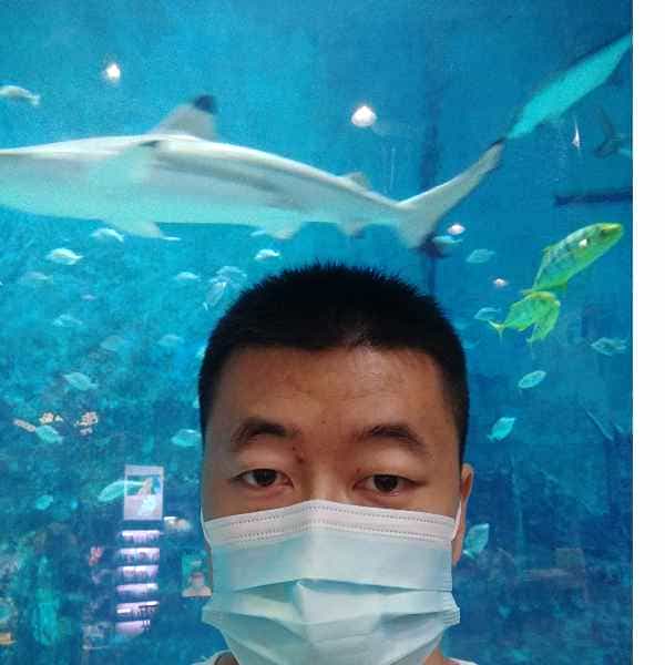 河北34岁单身帅哥真诚找对象-乌兰察布征婚相亲网