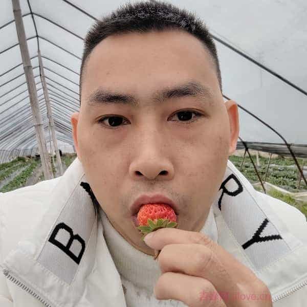 乌兰察布征婚相亲网